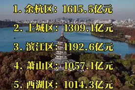 杭州2024上半年各区GDP排名 你认为哪个区域更加适合就业#杭州经济#杭州经济数据 #杭州就业视频封面