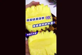凤梨还是菠萝？难道是同种水果？这条视频给你答案！#凤梨菠萝#天天科普 #科普一下#好奇中国视频封面