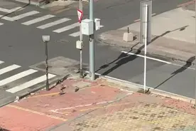 没有电鸡（电动自行车）乱象的城市大连