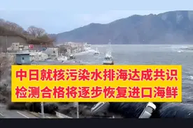 中日就核污染水排海达成共识，检测合格将逐步恢复进口海产品视频封面