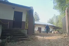 #大鸵鸟 味道真不错#舌尖上的味道