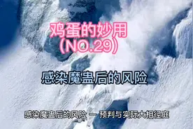 鸡蛋的妙用（NO.28） 感染魔蛊后的风险