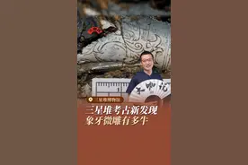 在三星堆新坑里，考古工作者发现了这样的象牙碎片，每一片上面还刻画着细小的图案，每根线条甚至只有头发丝的一半粗细，三千年前的三星堆人是怎么刻画出这样的微雕图案？听@大鱼讲三星堆 为你讲述三星堆考古新发现象牙微雕#大鱼讲三星堆 #三星堆博物馆 #博物馆 #爱上博物馆视频封面