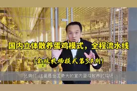 国内立体散养蛋鸡模式，鸡可在室内自由活动，鸡蛋流水线传输视频封面