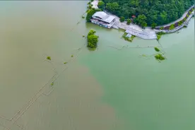 近日连降大雨，巢湖水位上升，中庙已超警戒水位视频封面