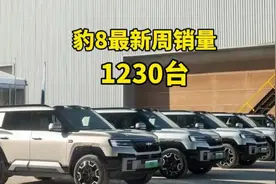 方程豹销量起飞，最新一周销量豹8—1230辆，豹5—1540辆。豹5视频封面