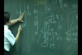 临泣在筋后斜刺，带脉取之 #倪海厦老师讲中医视频封面