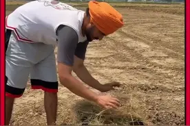 善良的小哥帮助鸟妈妈转移鸟窝 #善待动物关爱生命 #神奇动物在抖音