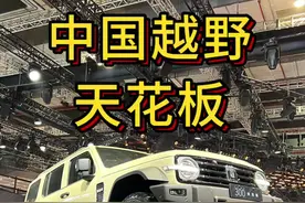 前后硬桥坦克300虎克版！牧马人天塌了#坦克300 #2025上海车展