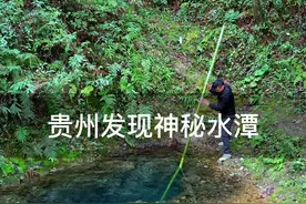 贵州大山里发现神秘水潭，潭水深不可测。每小时出水量可达数十吨。#大自然的鬼斧神工 #跟着季节游中国 #旅行推荐官视频封面