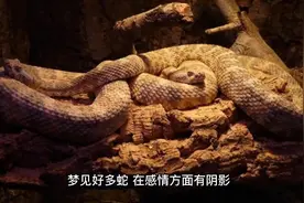 梦见和人吵架  （解梦）#希望这条视频能帮助到你