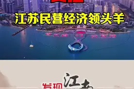 上有天堂下有苏杭，苏杭中间，就是吴江！ 吴江，江苏省民营经济领头羊！#吴江 #百强县 #百强区解读