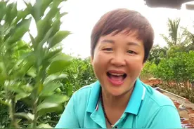 海南这几种橙子都是一个妈生的，你知道吗？ #农业种植 #琼中绿橙#红心橙 #橙子 #果苗供应视频封面
