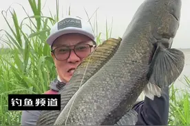 这条鱼你们估计多大？ #原来钓鱼才是抖音运动顶流 #路亚视频封面