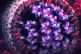 感染新冠后为何全身酸痛? 专家：这是身体提醒你要休息了，多喝水！