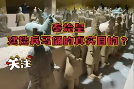 秦始皇建造兵马俑的真实目的？#历史 #秦始皇 #兵马俑视频封面