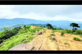 从小男孩最后山上的位置，到他哥哥等他的那个距离，只有5分钟路程，落差高度不足200米，平缓下山，没有悬崖，路线非常清晰，明确，换句不该说的话除非刻意走错，不然不会迷路，只有上个视频复盘说的唯一一个岔路口，既然走错路的几率极低，那么我大胆的预测，其实小男孩没有走丢，他也到了安全屋小卖部，但是出于小孩子争强好胜心理，两个哥哥不等我，我躲着你从旁边先下去，让你们来追我，我比你们还快，我不能让哥哥再嫌我跑的慢，我先走我就会赢，，，这种思路情况是根据山上环境来判断分析的，假如成立的话，那么小卖部老板说的是对的，两个哥哥说的也是对的，都没有看见小孩下山，而天真的小孩一直往山下走，但是两个哥哥在和父母重合后以为小男孩在山上，一直往山上搜寻，而这个时候小男孩已经和他们成反方向越走越远，所有的呼喊都听不见，造成了所谓的突然消失，下山的路有多处岔路，有旧路，瀑布，五雷。。。那么这个复盘假设一旦成立，找人的方向又不同了，我甚至有种猜测，小男孩下山后躲在某个地方等他两个哥哥，等哥哥出来后突然跳出来吓他们一跳，结果等着等着因为累，遮阴处又比较凉快，结果小男孩睡着了，也或者下山后在多个岔路口迷路。（以上个人分析仅供自己复盘参考，我参加多年救援队伍，每次遇到问题也是不断推理复盘，但不会瞎扯乱编，成功，失败都有记录，不作实事依据，理性看待） #莆田石谷解  #福建8岁男童走失最新进展  #应急救援视频封面