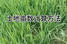 土地的计算方法#面积公式大全 #土地 ##土地亩数 #农村土地