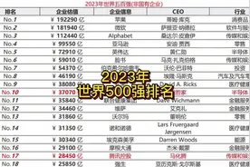 2023年世界500强排名#世界500强 #没想到吧我也没想到视频封面