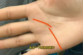 感情线断开预示着什么#掌纹的秘密 #掌纹 #手纹 #国学文化视频封面