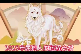 #2025年属狗人的运程分析2025年是丙申年,对于出生在狗年的人来说视频封面
