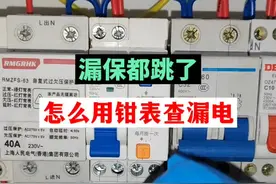 漏保跳了，用钳表怎么去找漏点？比万用表10K档还好用！#安全用电 #电工 #电工知识分享 #线路故障排除与维修