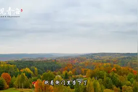 青海方言《抓虼蚤》～景富德 #青海方言 #听见青海