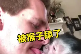 国字脸的卷尾猴为何惹人喜爱 #卷尾猴 #宠物猴 #可爱动物