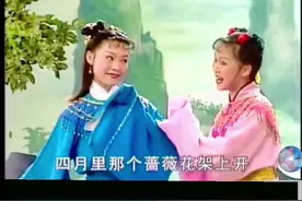 #经典戏曲《十二月花》#广西彩调视频封面