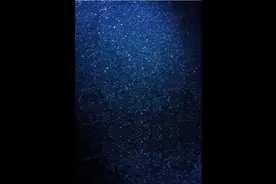 母猫配上的初期表现是什么？#新手养猫 #养猫知识 #养猫人视频封面