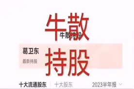 牛散葛卫东最新持股曝光