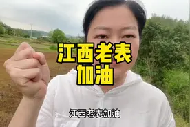 好事不出门，坏事传千里， 维护好江西形象，从我做起，江西老表视频封面