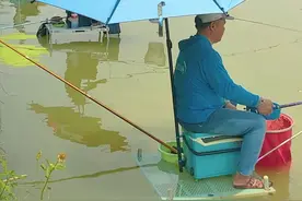东江被困钓台的一天 被困钓台上，鱼情不好，退无可退，今天的体验感……#钓鱼#黑坑#野钓#野钓#鲮鱼@DOU+小助手视频封面