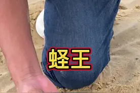 #真实的赶海能抓到什么 #蛏王 #敲沙震蛏的赶海日常