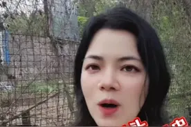 武汉的宝庆码头 湖南人血战江湖的彪悍历史#内容启发搜索 #湖南湖北#宝庆府