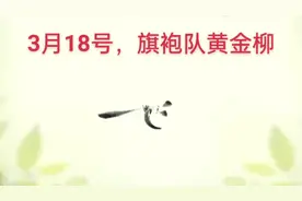 春天来了，我们嗨起来视频封面