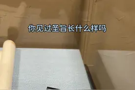 你见过圣旨长什么样吗#圣旨到 #清朝历史 #圣旨上都写了些什么 #抖加热门视频封面