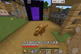 我的世界: 冰火魔龙生存第十期，孵化小土龙#我的世界