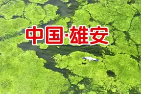 #雄安新区环境#雄安新区最新消息  雄安2025年要动真格的了视频封面