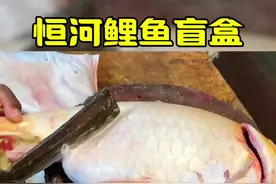 肚子大到爆炸的恒河大鲤鱼 #神奇动物在抖音 #杀鱼技术 #解说版动物世界 #解压 #精彩片段视频封面