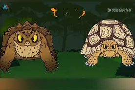 乌龟🐢大站乌龟🐢#神奇动物在抖音 #我在抖音看动画 #动物世界视频封面