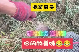 兄弟们新增业务 不是转行了 之前那只是口嗨 那么可爱的小辣视频封面