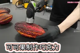 可可果制作巧克力 #制作过程 #趣味实验 #巧克力 #可可果 #实验视频封面