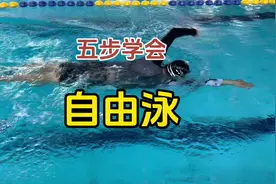 自由泳的完整教学，五步学会自由泳。#自由泳 #自由泳教学视频封面