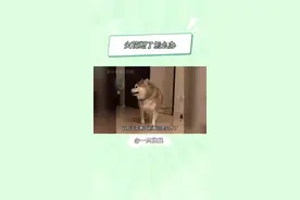我就说刷抖音能学到东西吧！ #内容过于真实 #小火花 #爆金币 #情侣日常