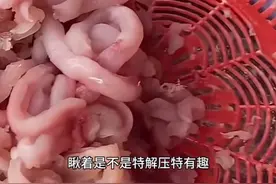 估计好多人都不晓得这在干啥，这就是弄鱼肉做鱼丸的步骤哟。你只要拿一根筷子，就跟擀饺子皮似的，来来回回地上下滚筷子，鱼肉就能顺顺溜溜地被挤出来，还没有鱼刺，瞅着是不是特解压特有趣 #鱼翅 #鱼生 #仙剑世界首发视频封面
