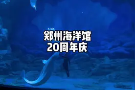 这个假期真的太适合来郑州海洋馆了 亲子遛娃 情侣约会真的超浪漫视频封面