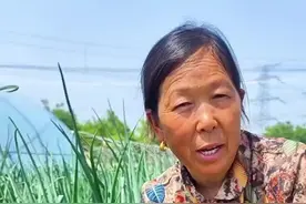 洋葱怎么管理#洋葱管理 #生菜杨姐 #蔬菜管理 #三农视频封面