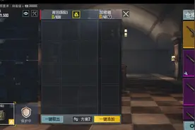 甲配件一个辐射板加两个自由选择配件
