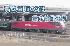 雪中Z318（青岛北—成都西） 青成直特首日开行#铁路 #交通 #火车